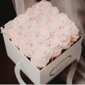 Meet your Posher, Kadiatou